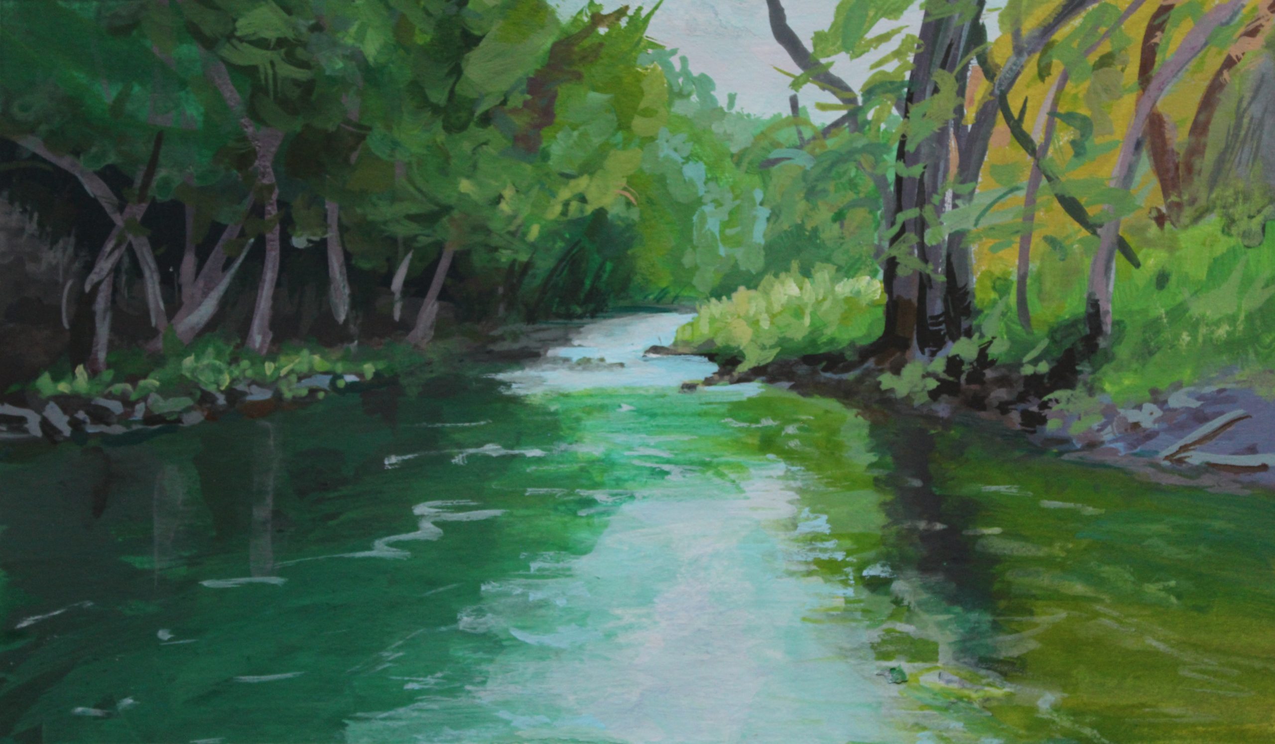 Pintora Suiza – Canadiense editora “Cocodrilo Viudo”